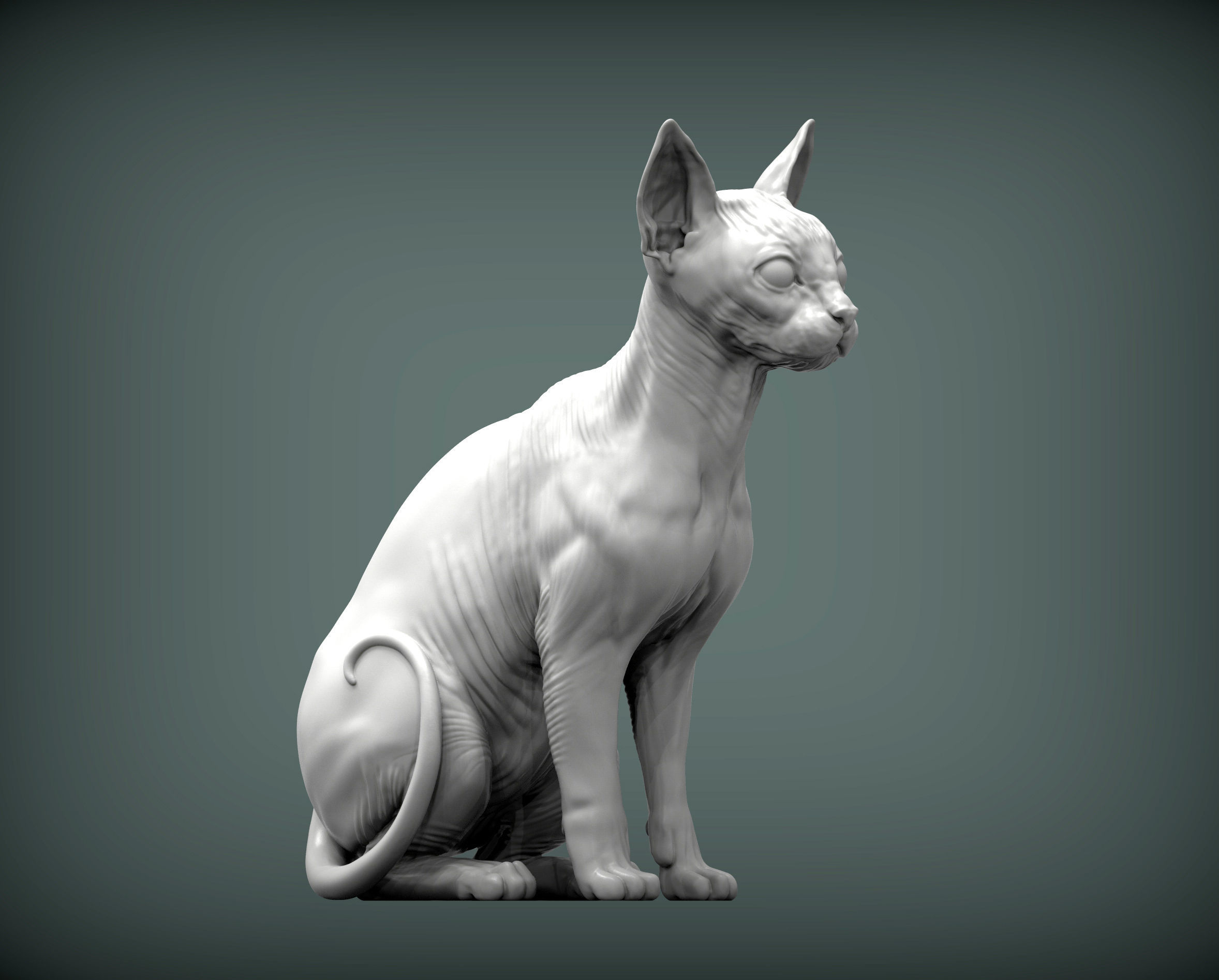 sphinx cat 3D print model_3