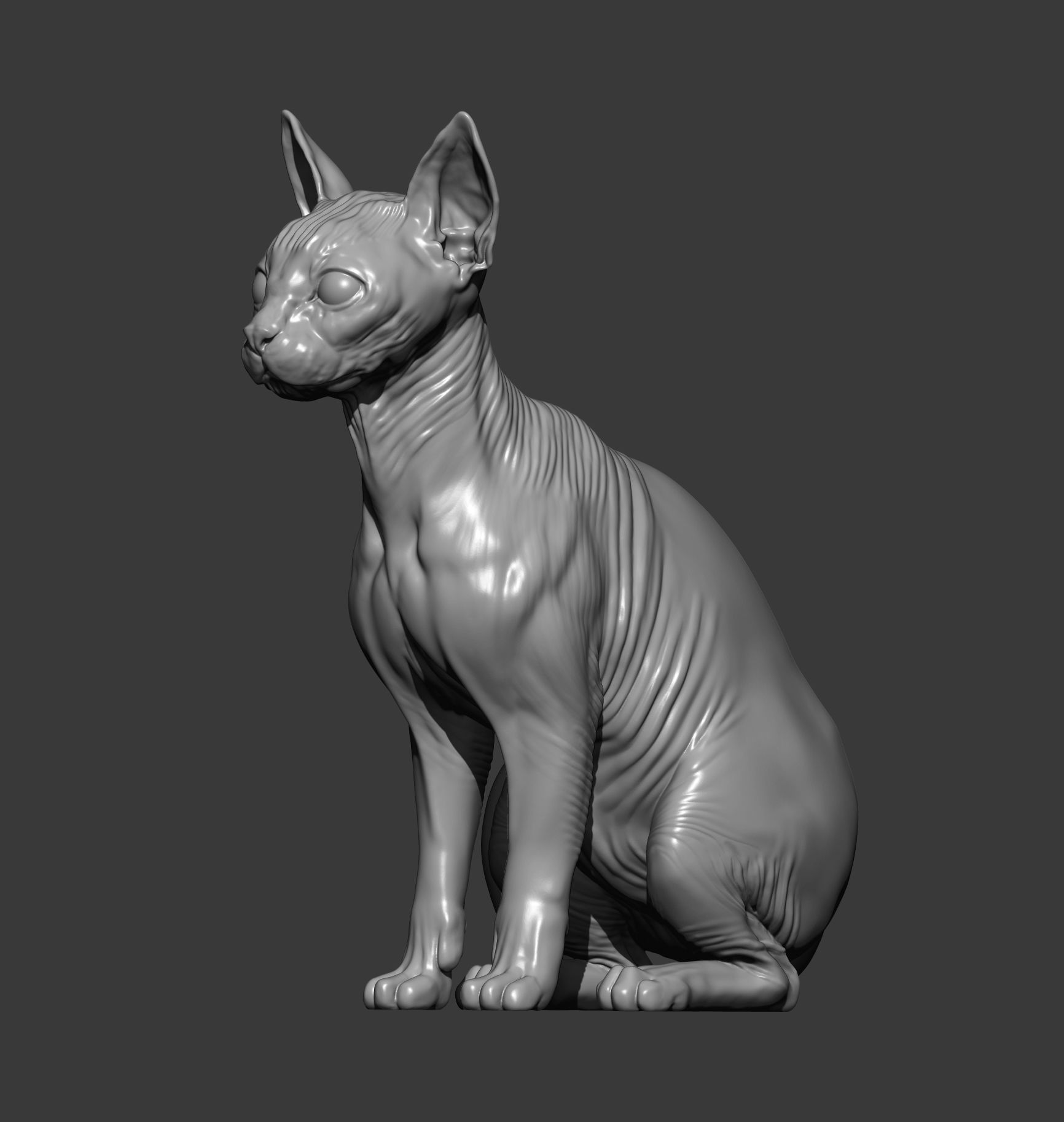 sphinx cat 3D print model_14
