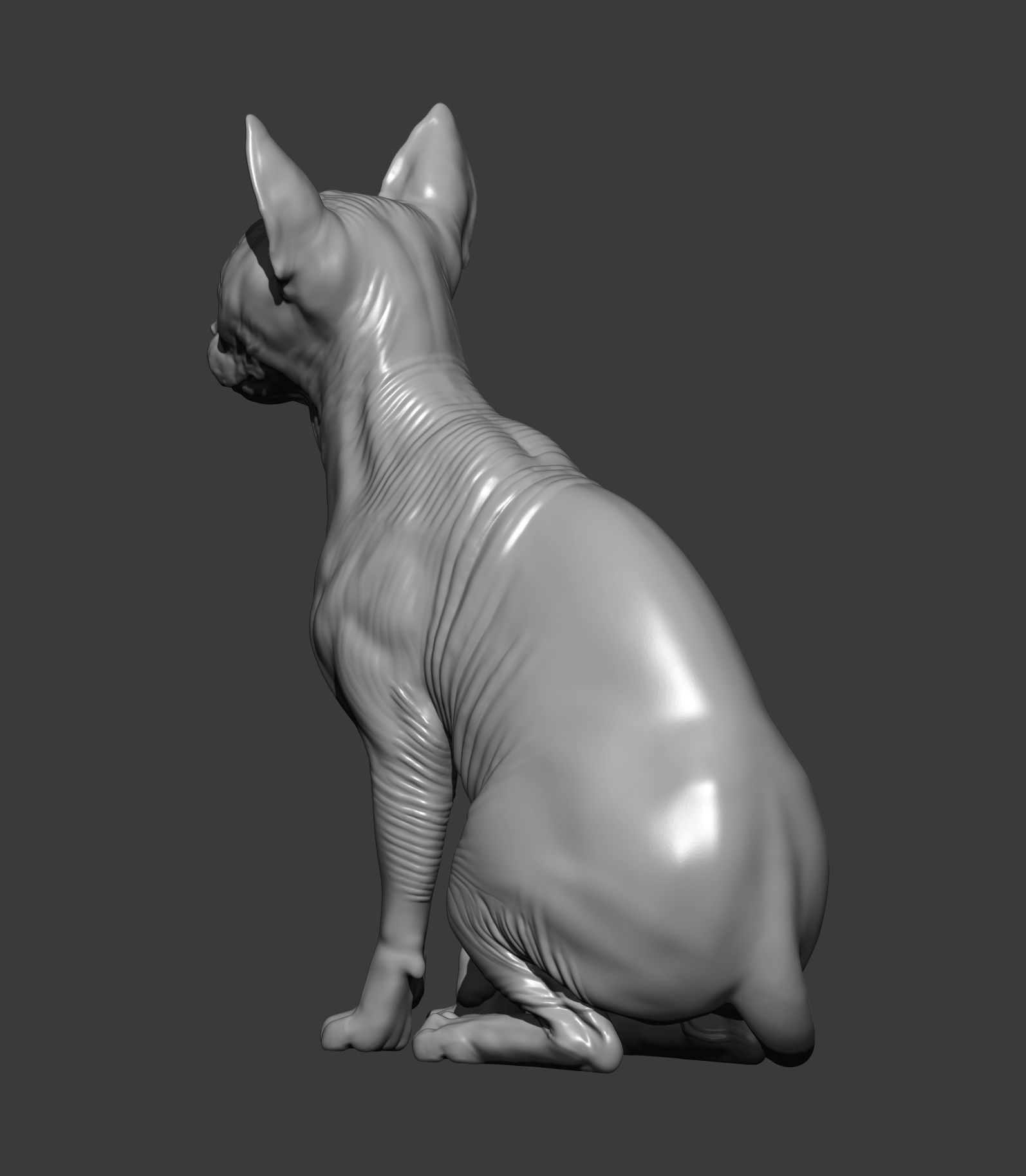 sphinx cat 3D print model_9