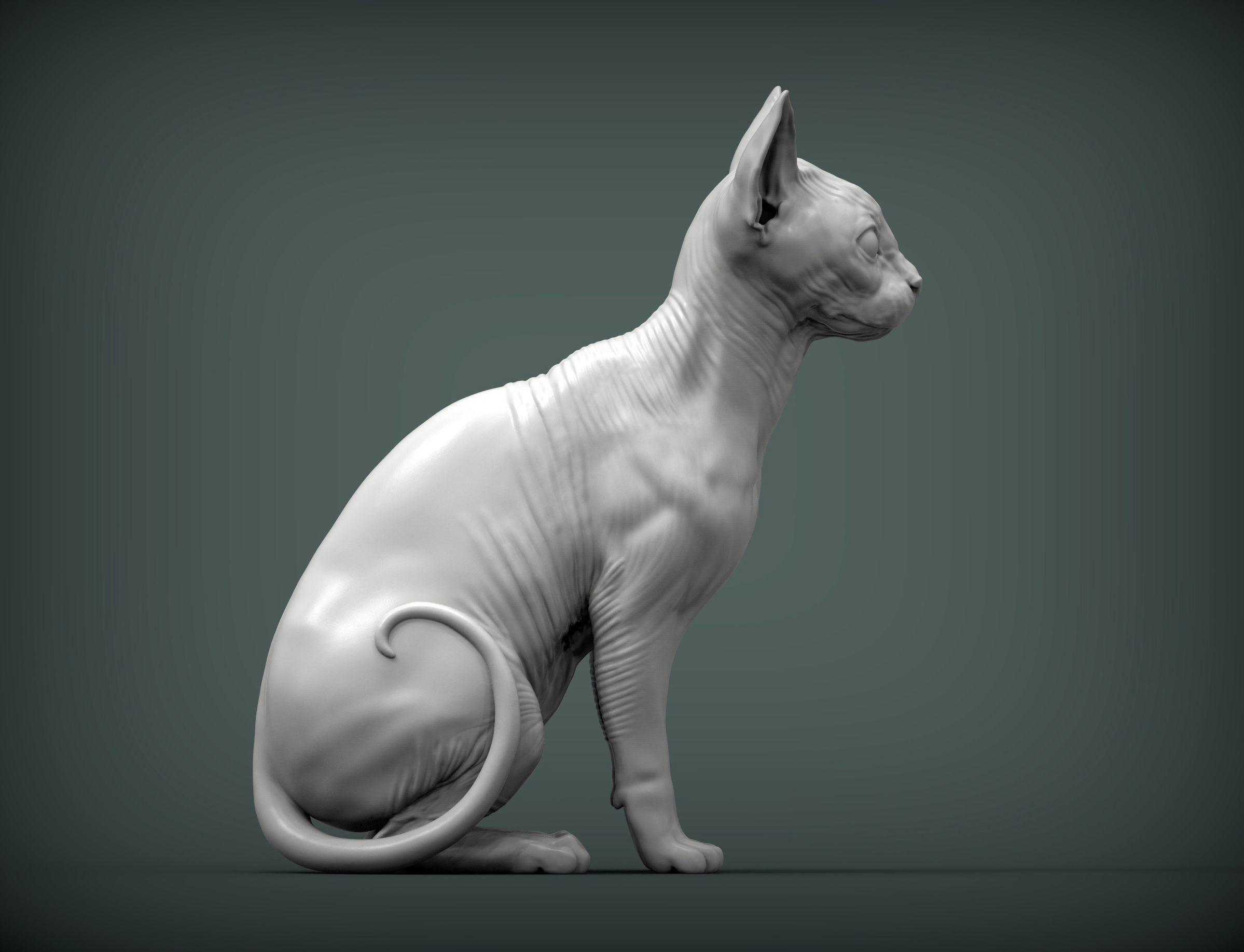 sphinx cat 3D print model_4