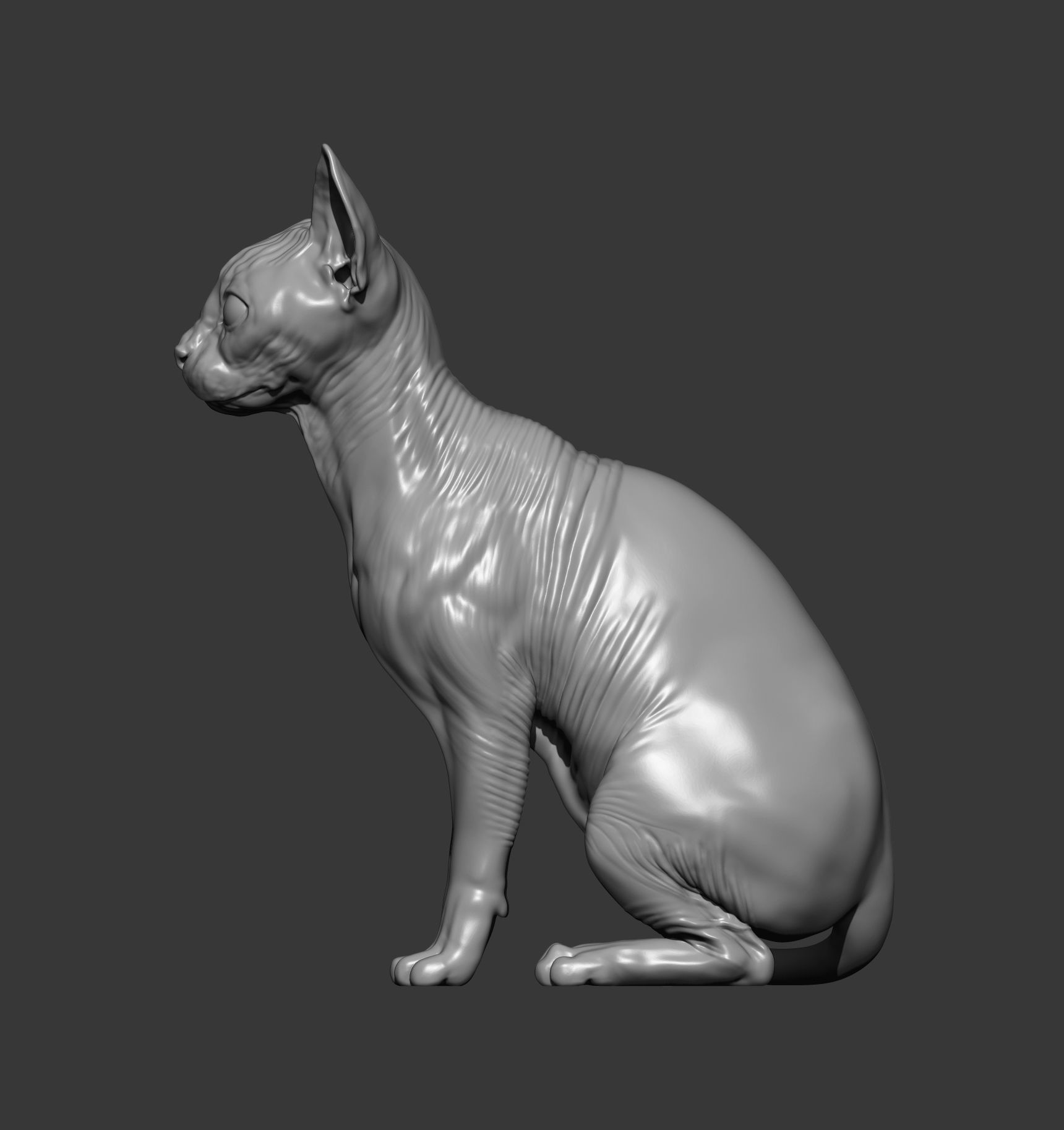 sphinx cat 3D print model_11
