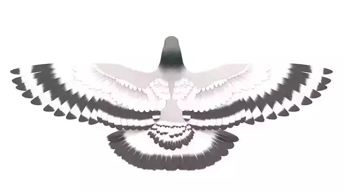 Pigeon 3D Model with wings spread