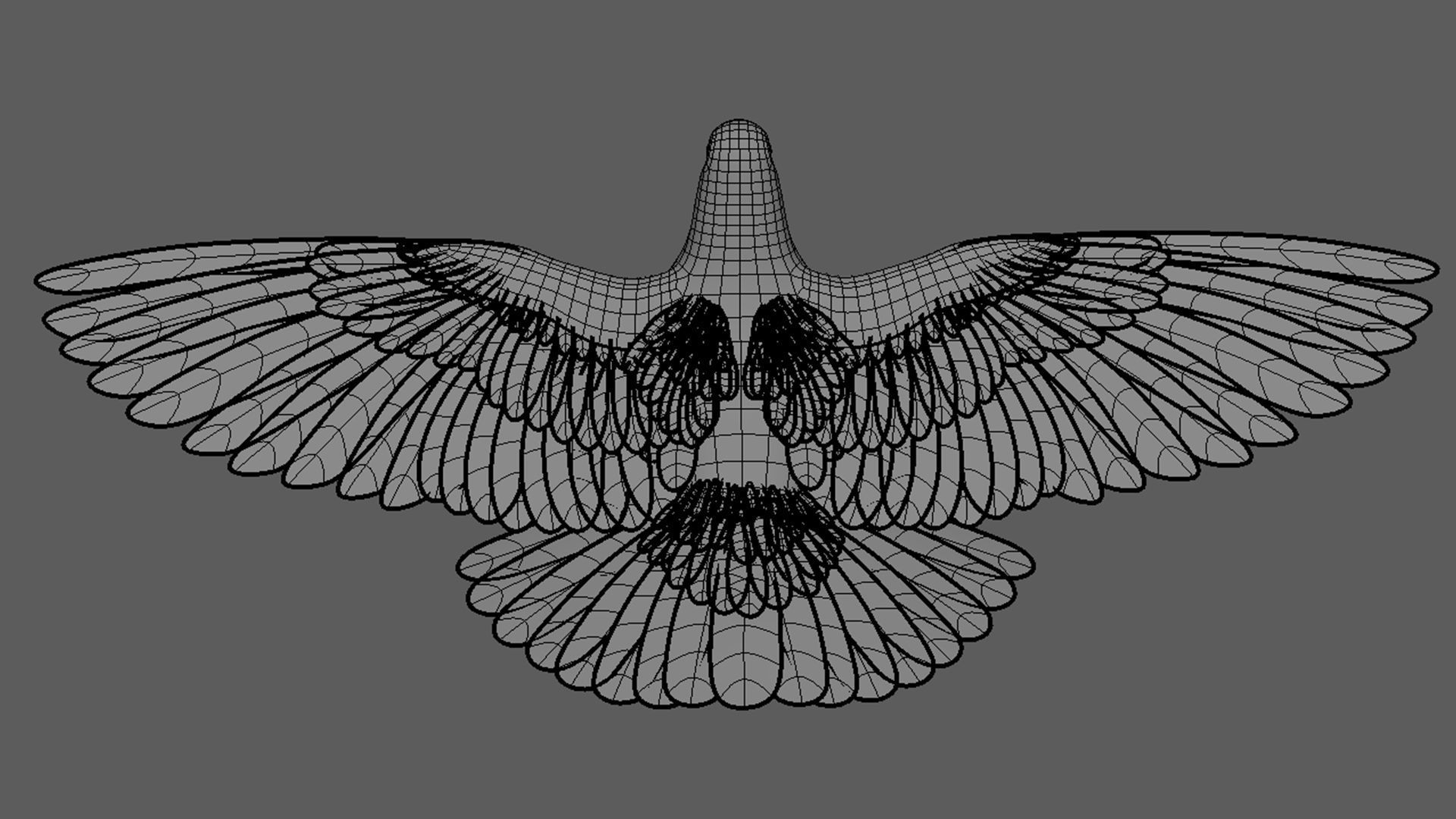 Pigeon 3D Model with wings spread 3D model_6