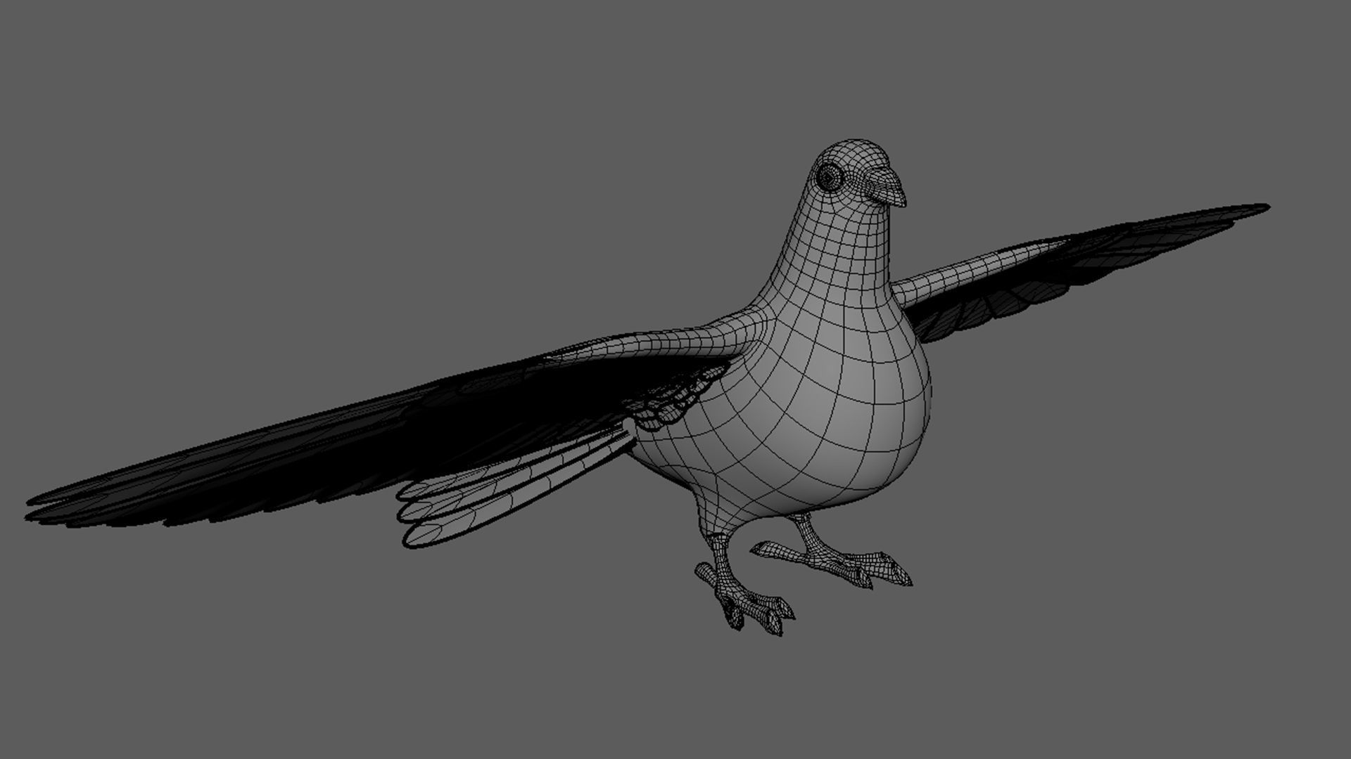 Pigeon 3D Model with wings spread 3D model_5