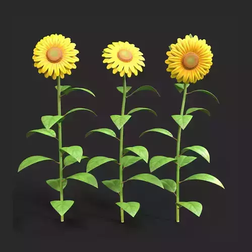 Sunflower Plant