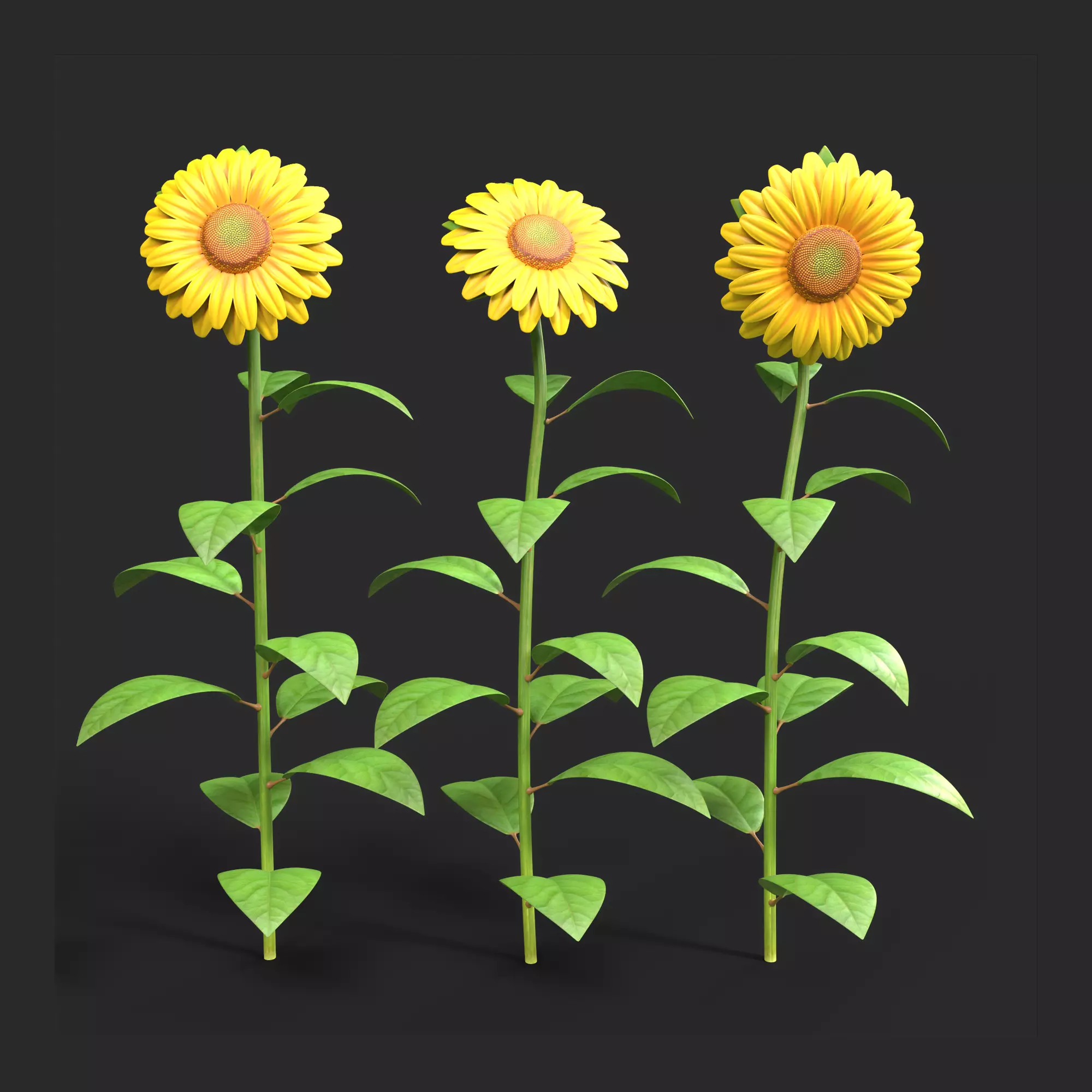Sunflower Plant Low-poly 3D model_0