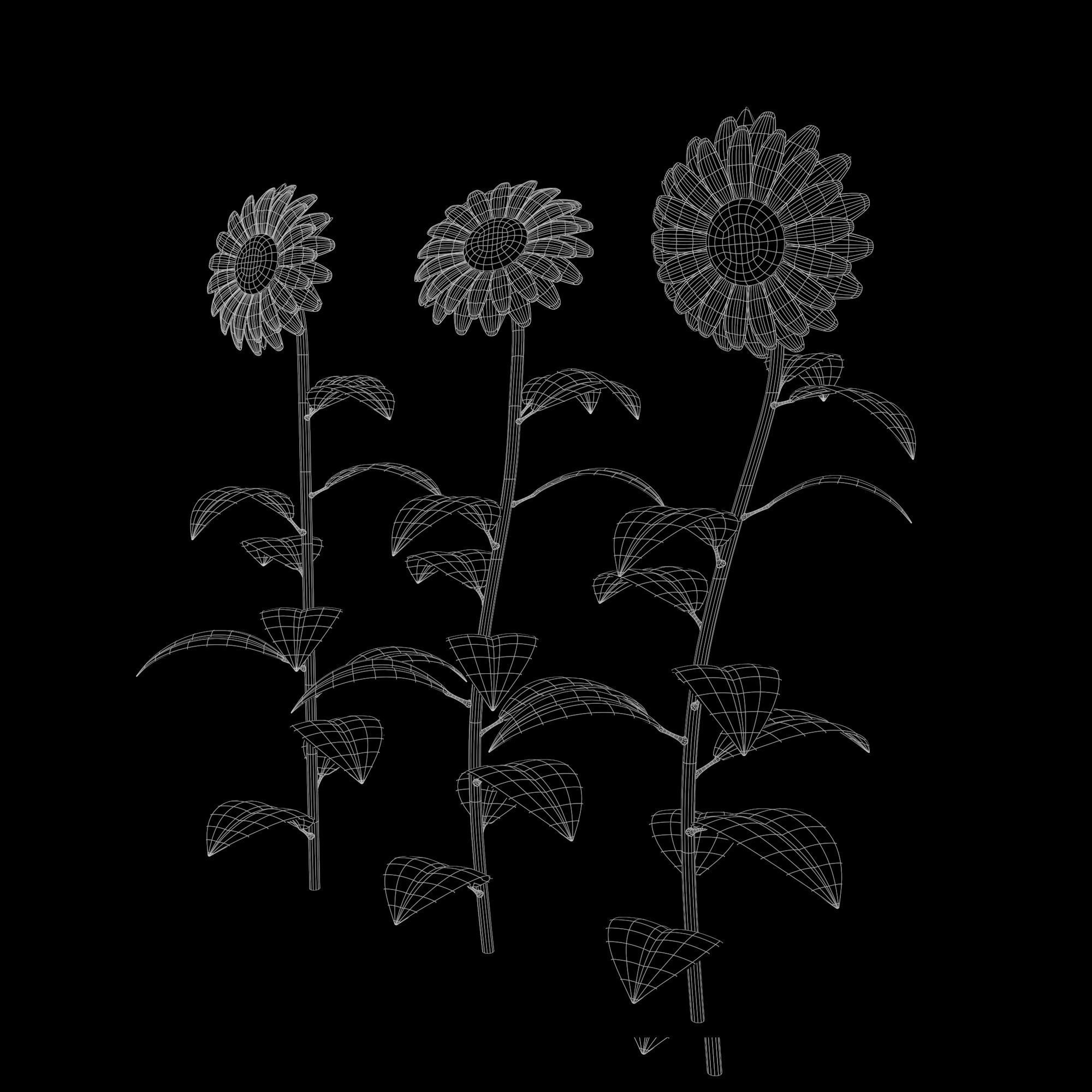 Sunflower Plant Low-poly 3D model_3