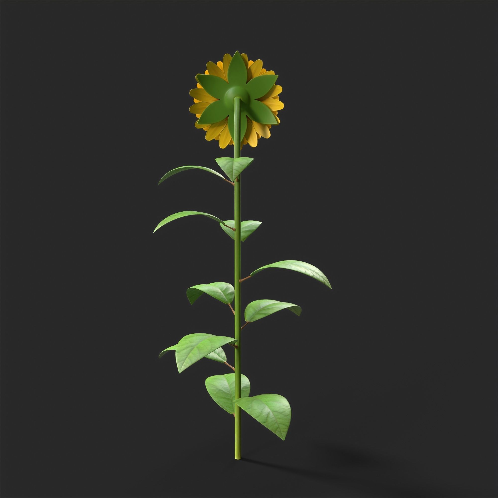 Sunflower Plant Low-poly 3D model_9