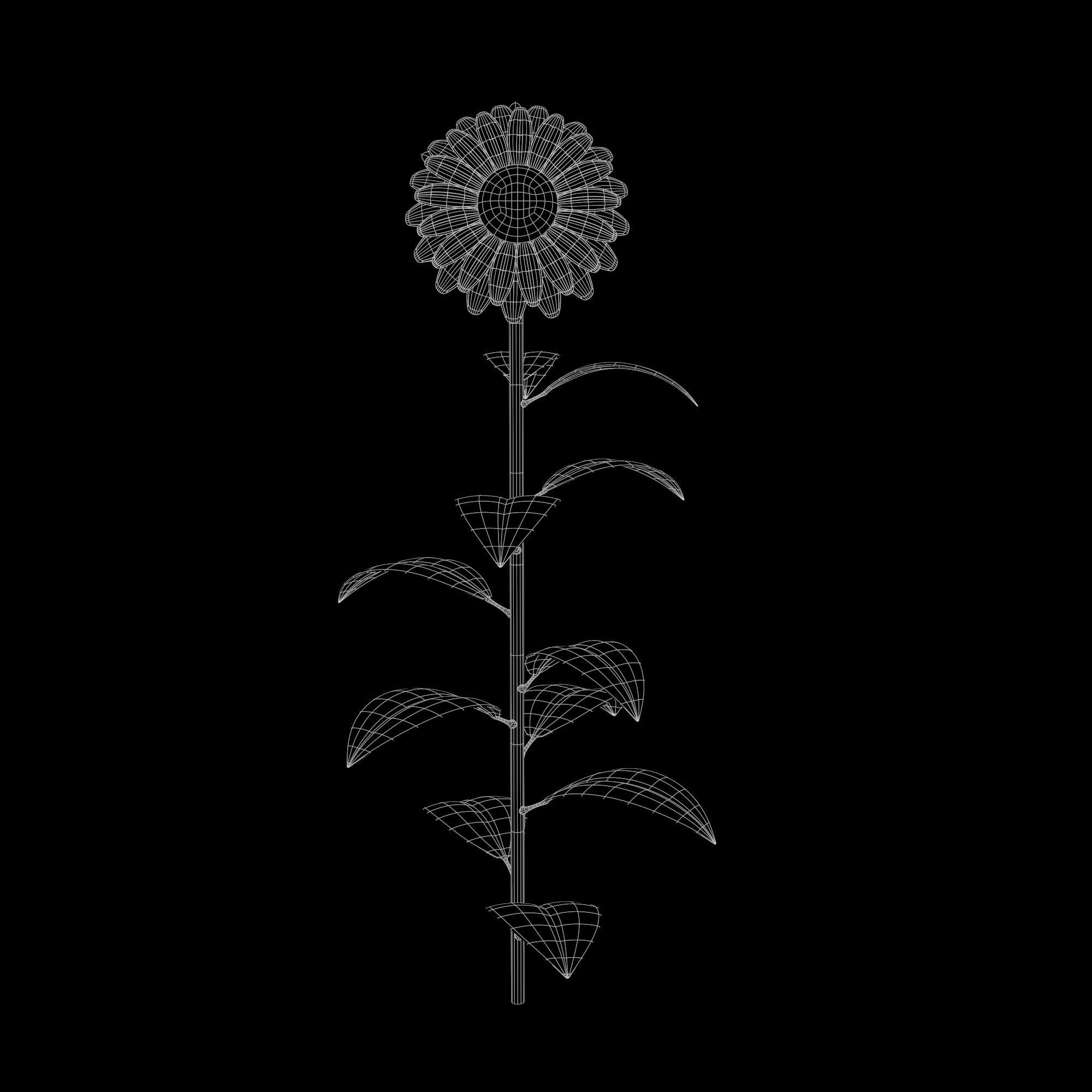 Sunflower Plant Low-poly 3D model_14
