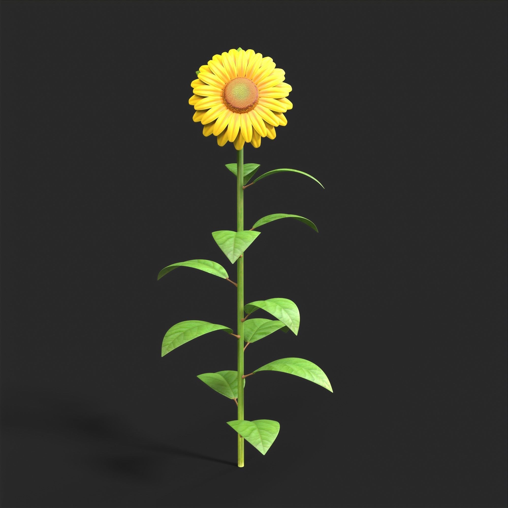 Sunflower Plant Low-poly 3D model_4