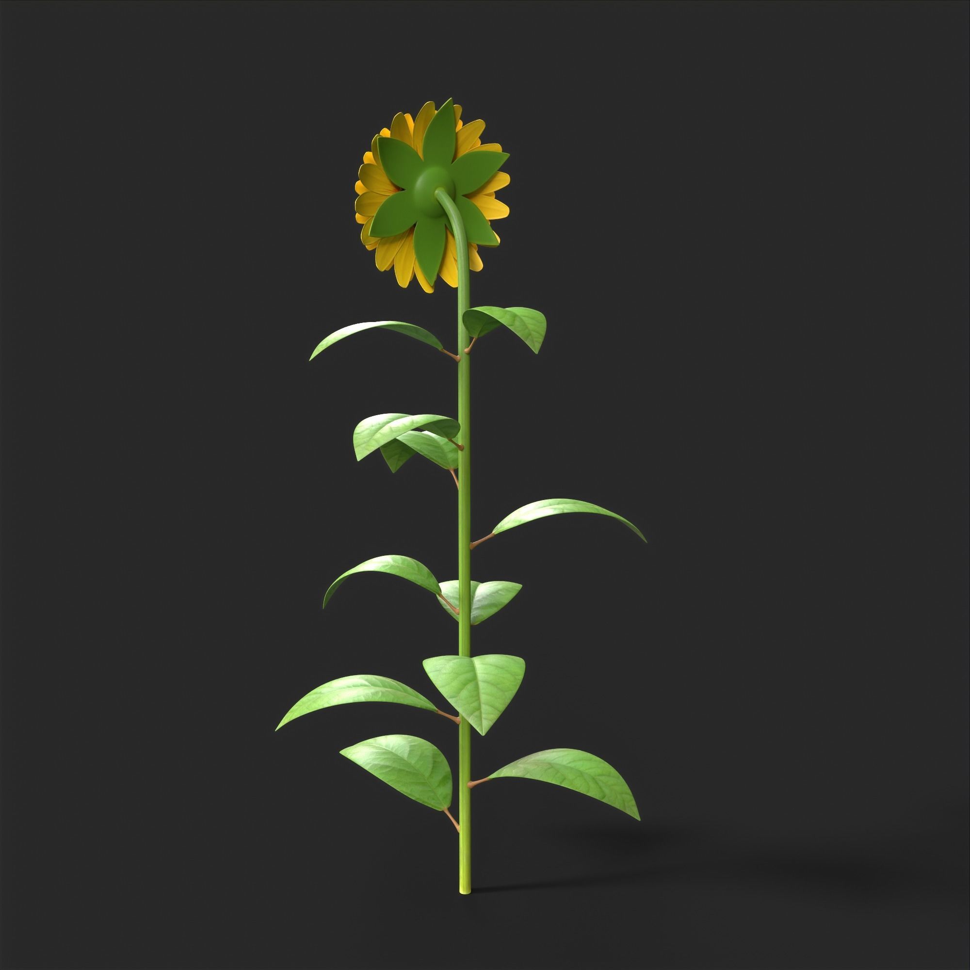 Sunflower Plant Low-poly 3D model_8