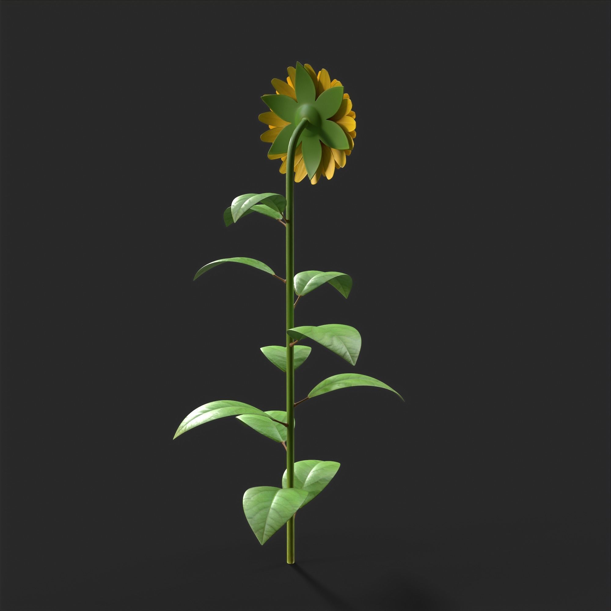 Sunflower Plant Low-poly 3D model_10