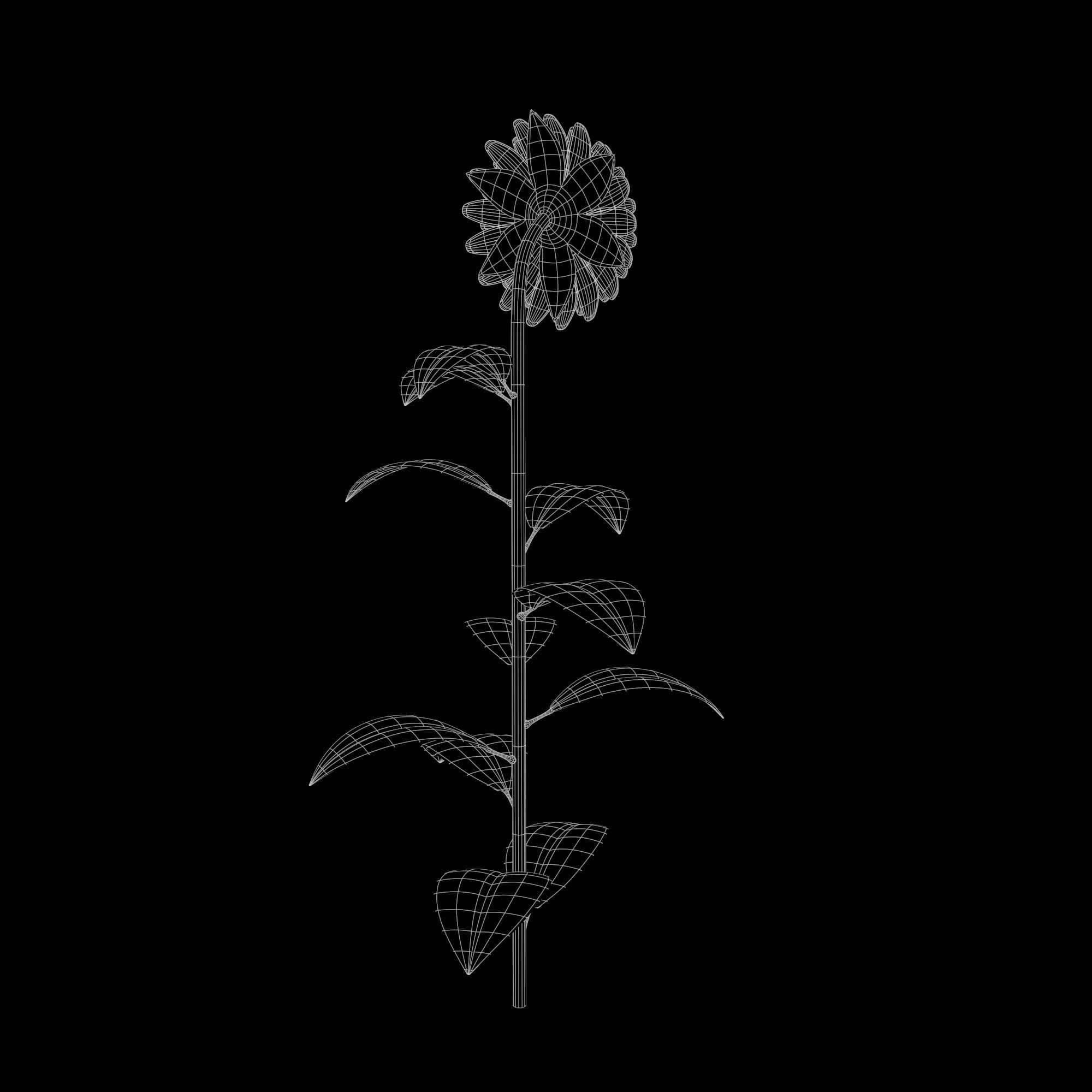 Sunflower Plant Low-poly 3D model_20