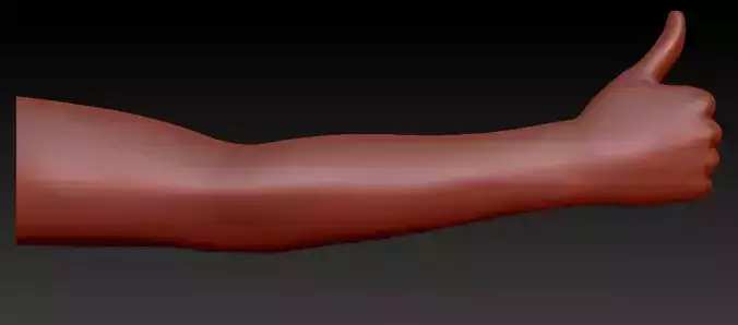 posed Hands 1 3D print model