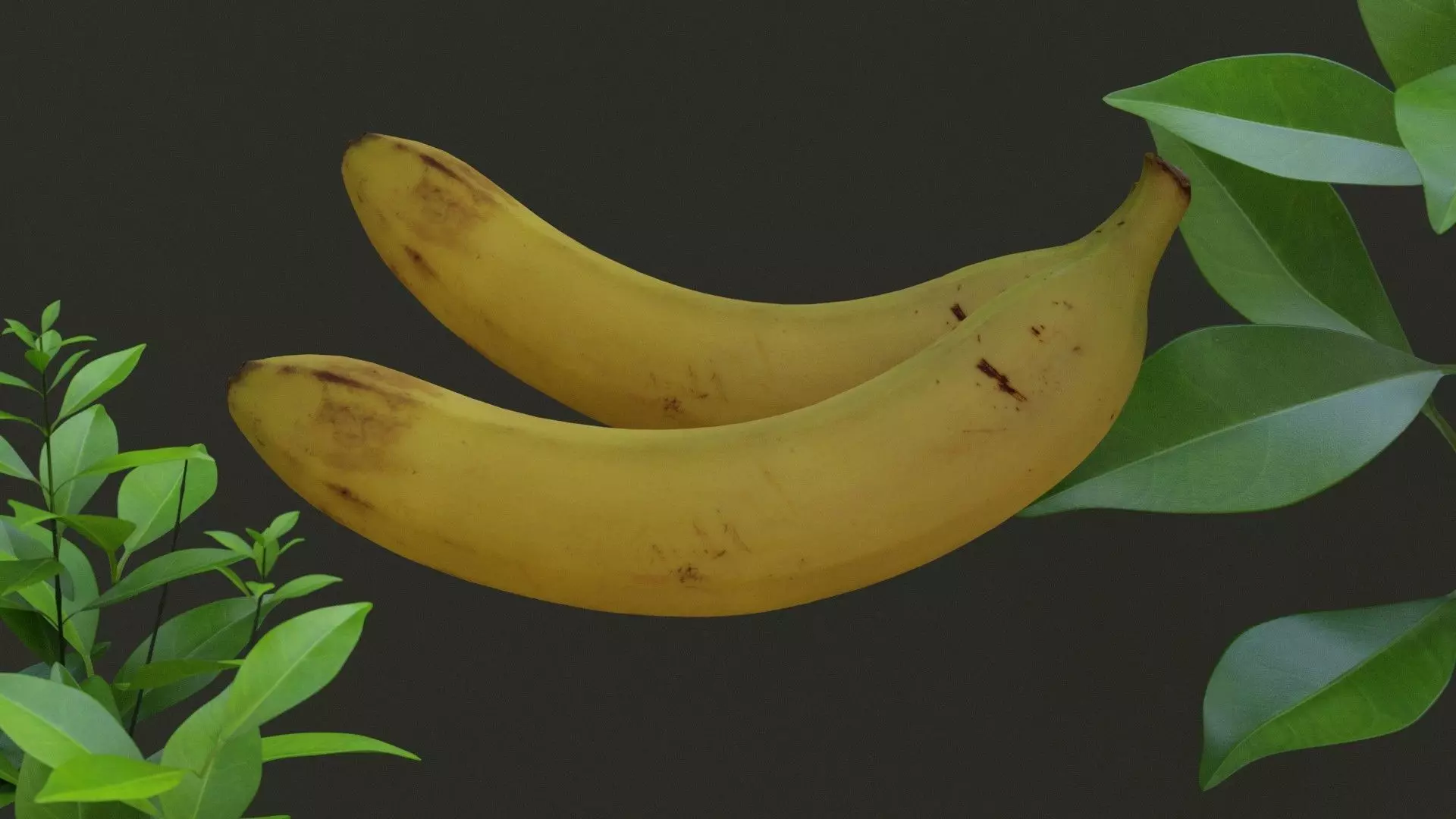 Bannana banana Free 3D model_0
