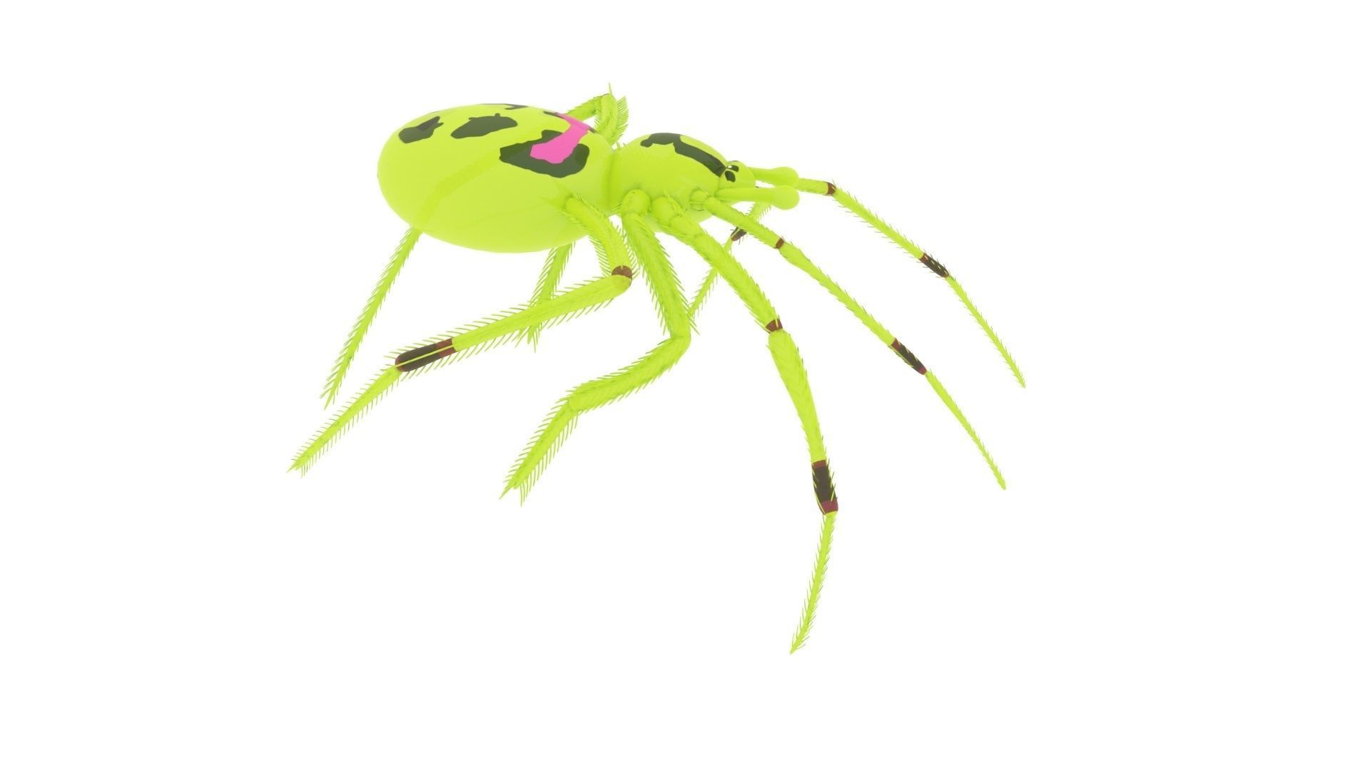 Happy Face Spider 3D Model CGTrader Happy face spider 3d model cgtrader