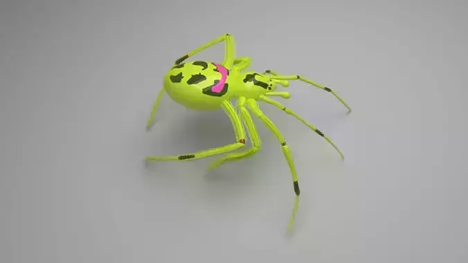 Happy Face Spider 3D model