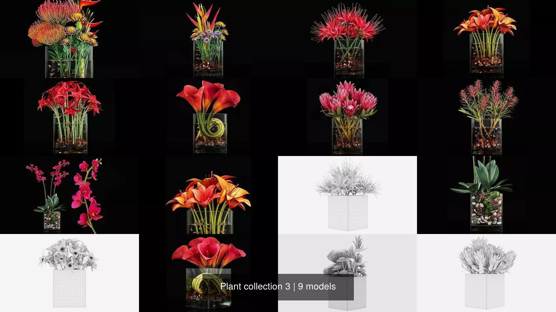 Plant collection 3 tropical arrangement in glass vase _1