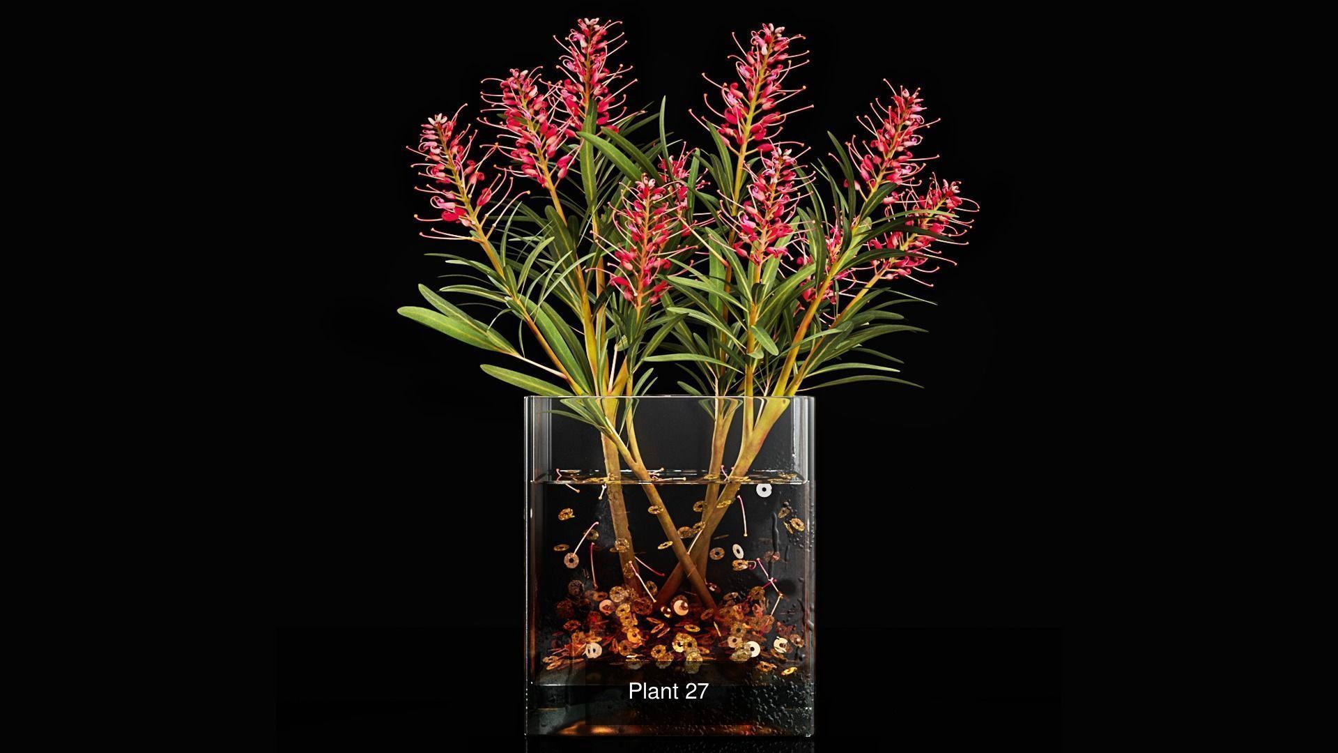 Plant collection 3 tropical arrangement in glass vase _9