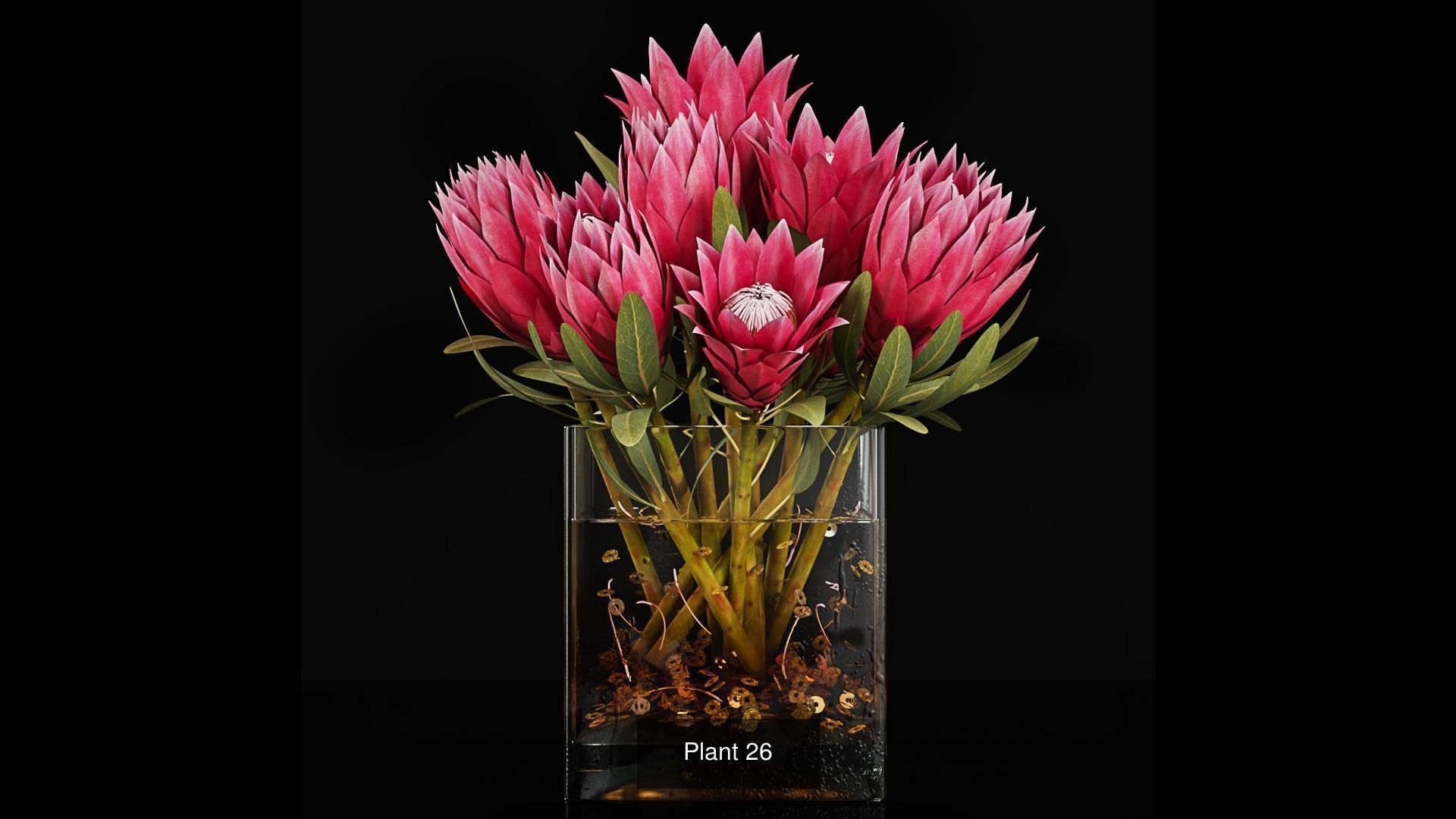 Plant collection 3 tropical arrangement in glass vase _8