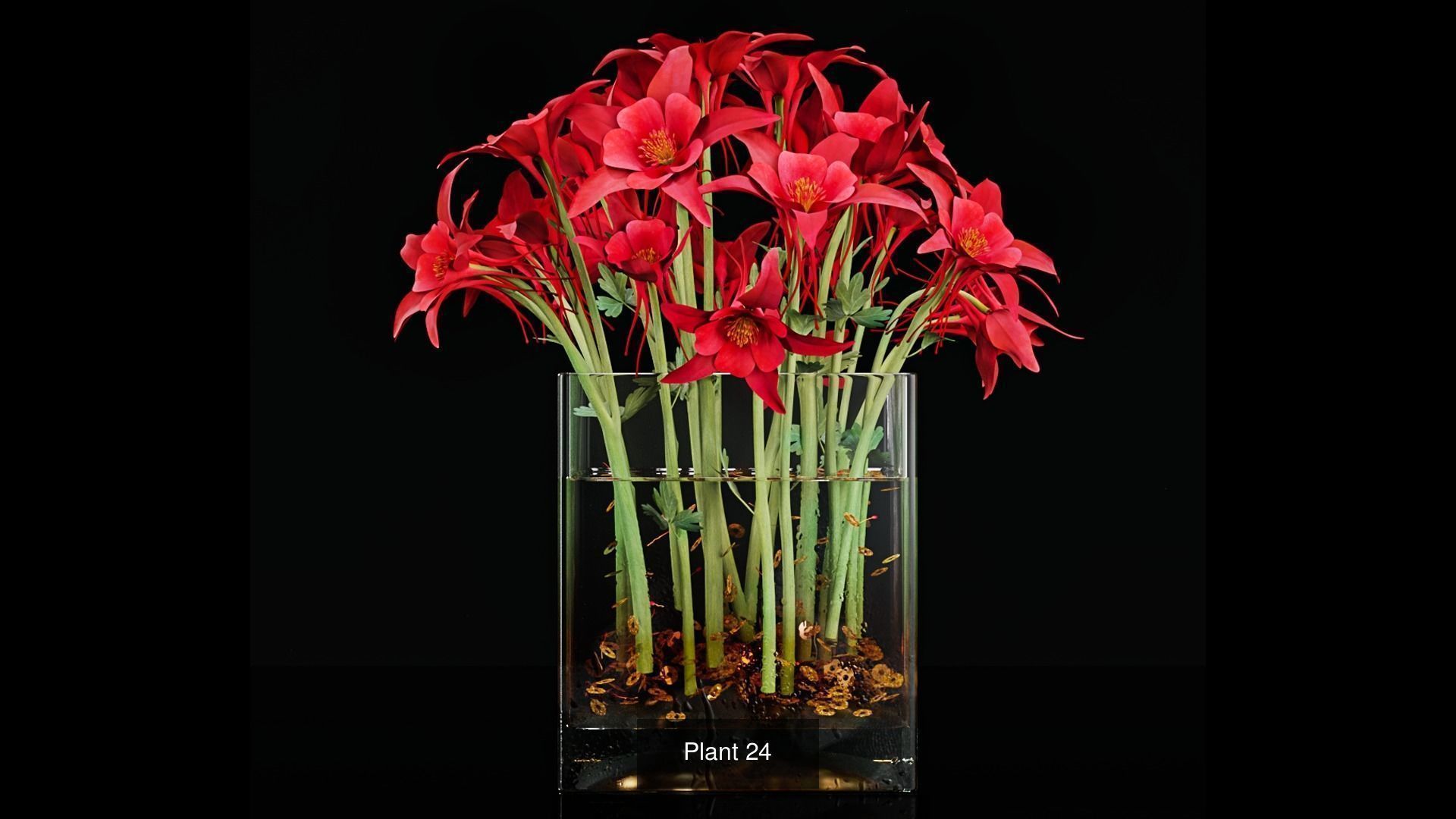 Plant collection 3 tropical arrangement in glass vase _6