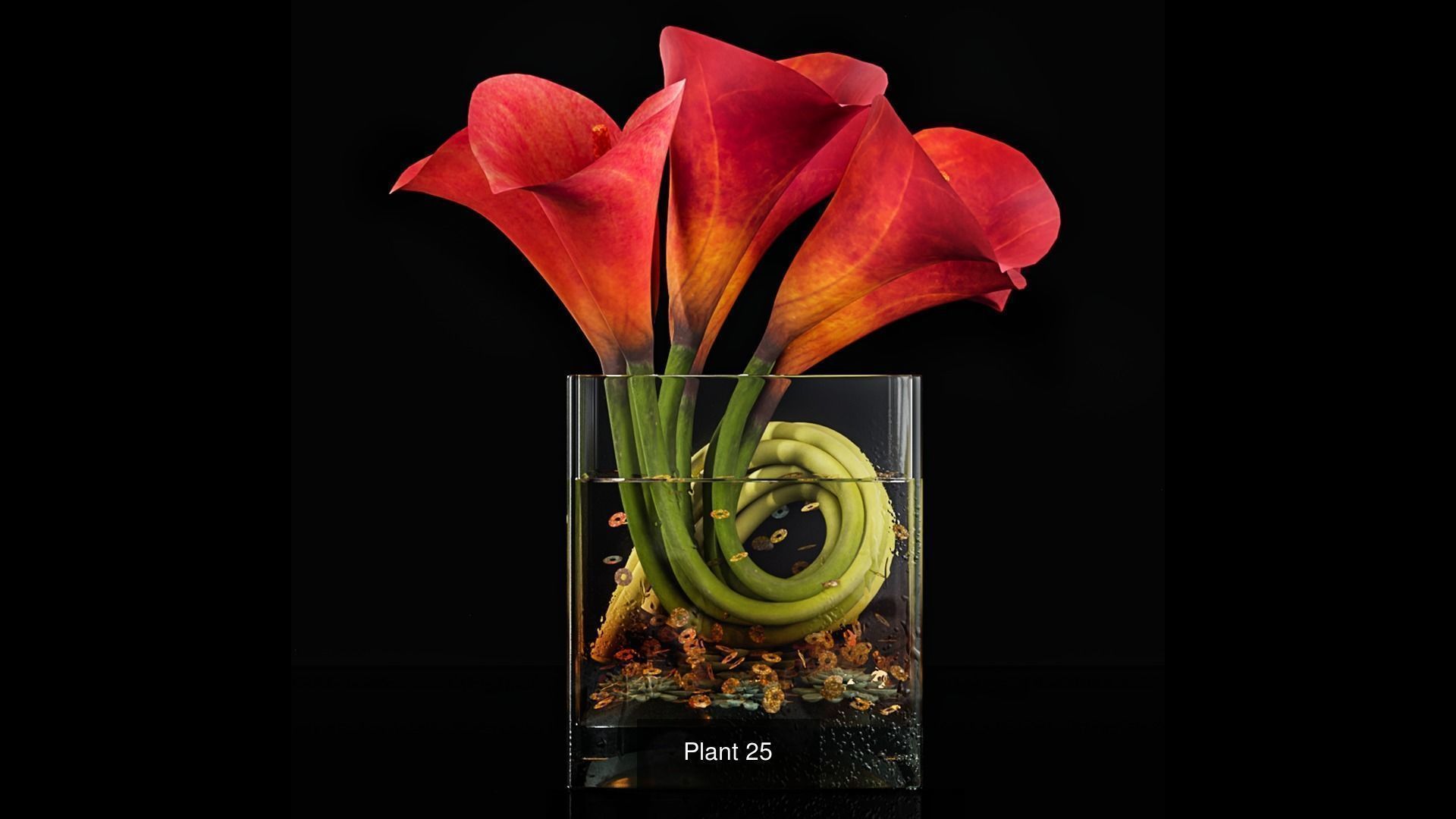 Plant collection 3 tropical arrangement in glass vase _7