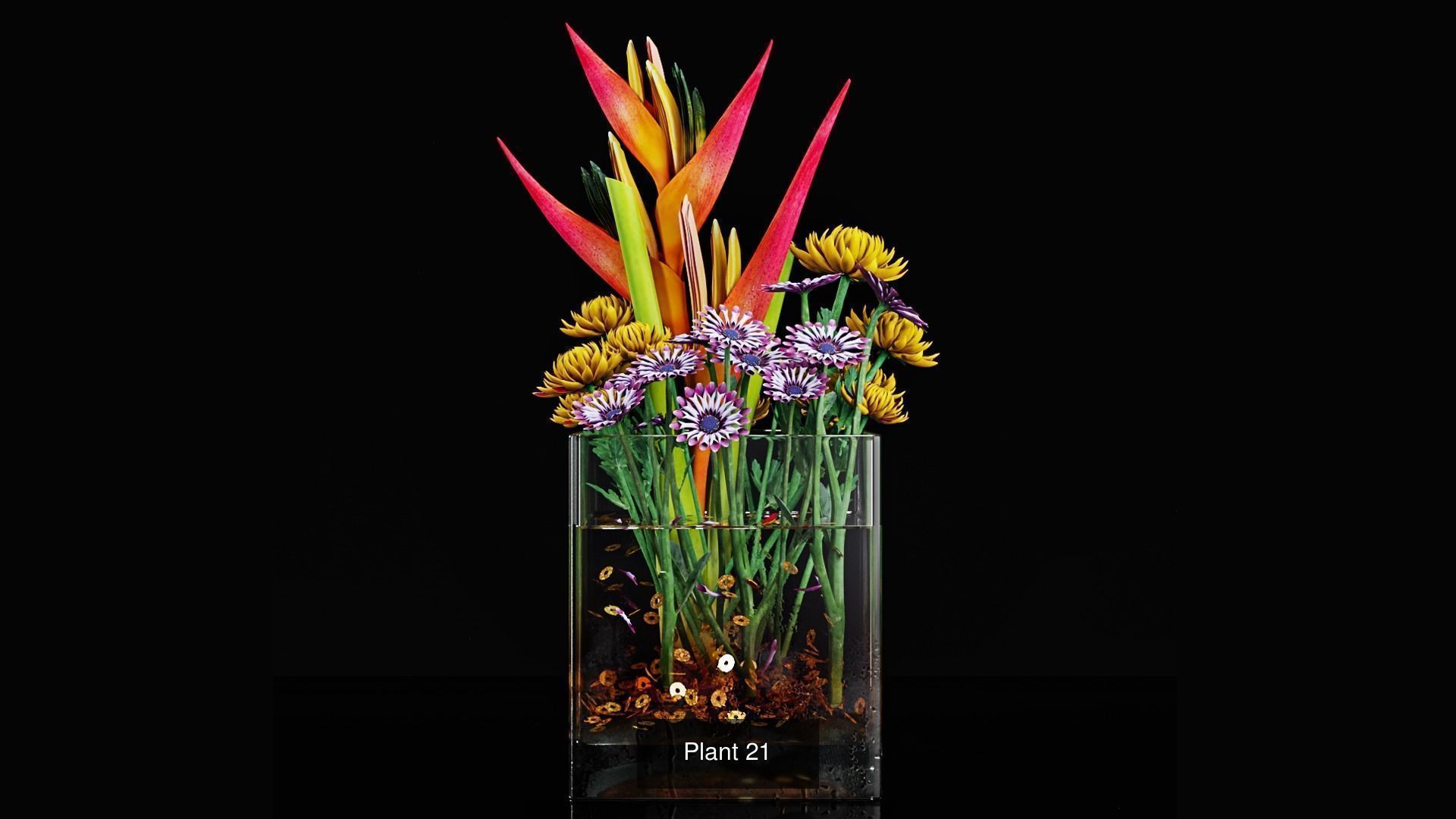 Plant collection 3 tropical arrangement in glass vase _3
