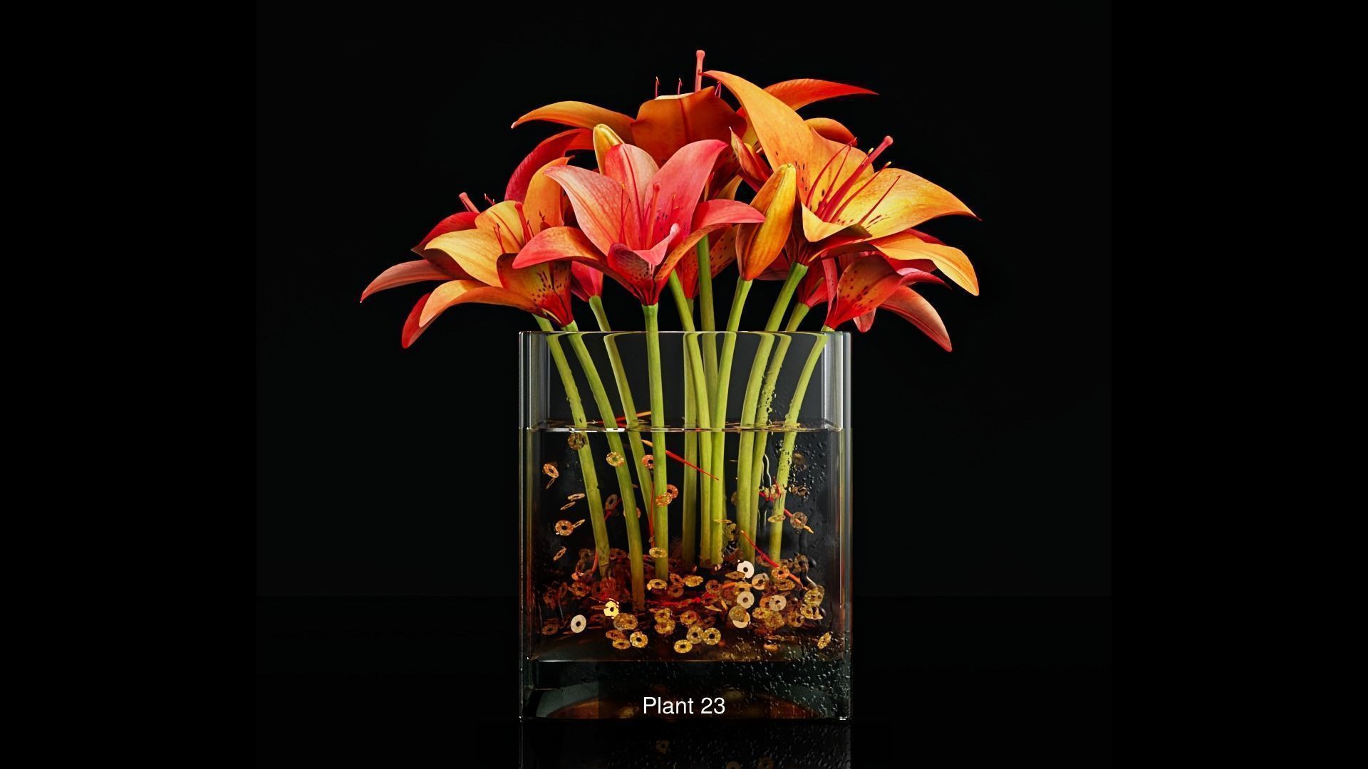 Plant collection 3 tropical arrangement in glass vase _5
