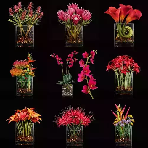 Plant collection 3 tropical arrangement in glass vase