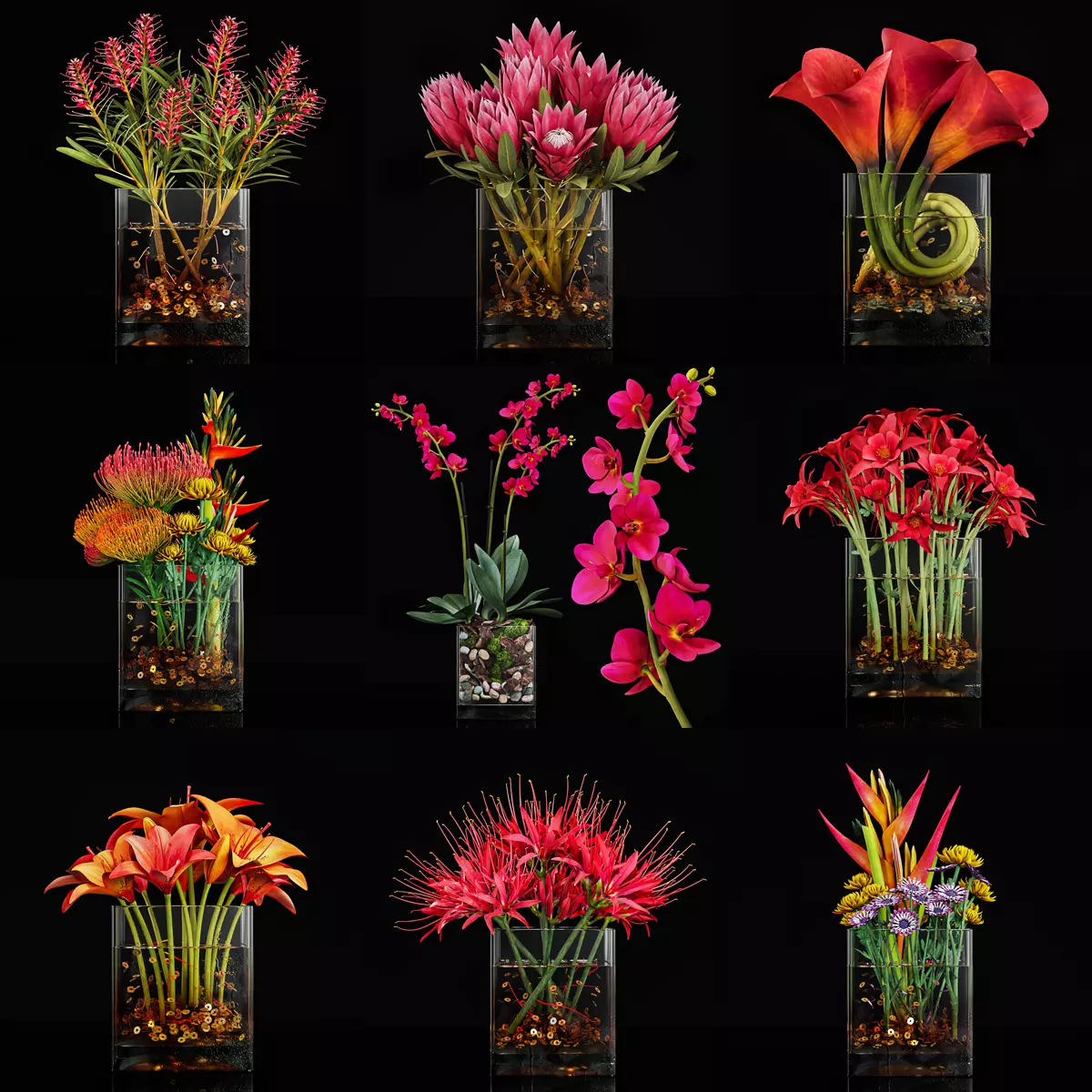 Plant collection 3 tropical arrangement in glass vase _0