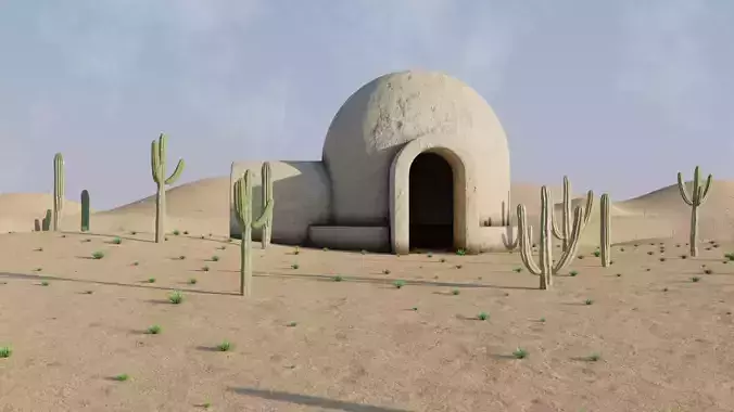 Desert cactus house in