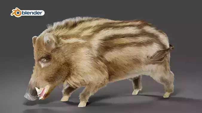 Fur Wild Boar V03 Rigged 