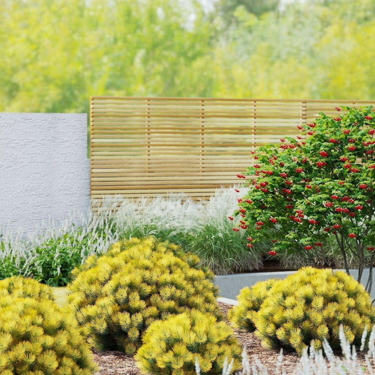 Pinus mugo bush 3D model_9