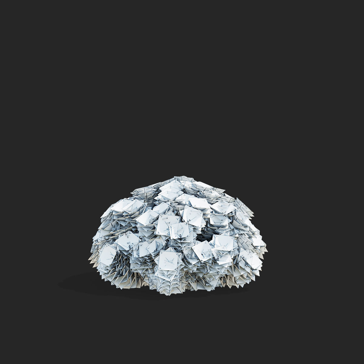 Pinus mugo bush 3D model_8