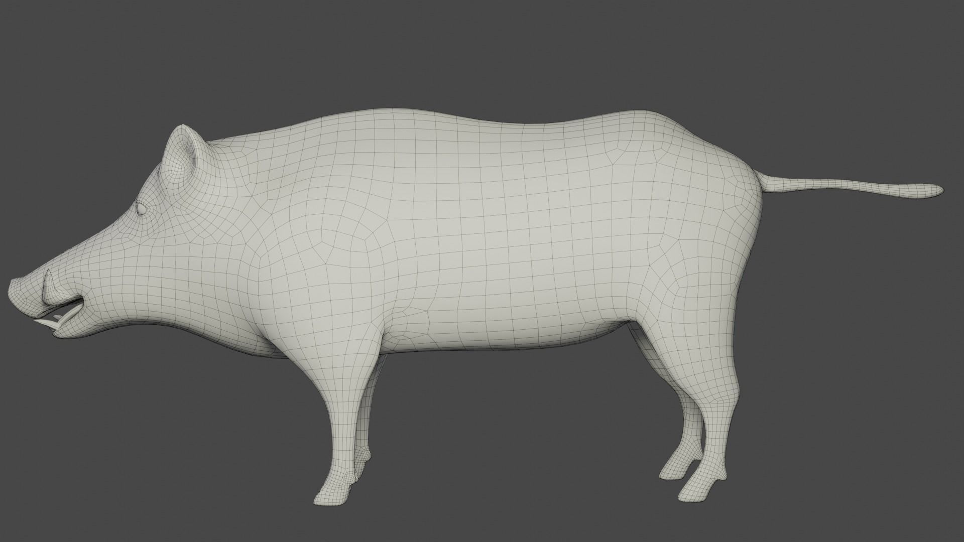Fur Wild Boar V04 Rigged and Animation Low-poly 3D model_19