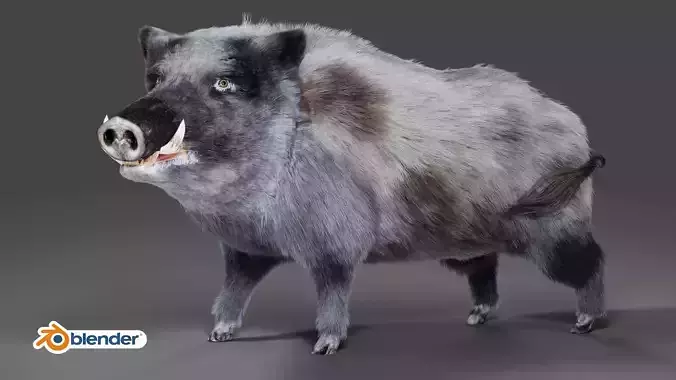 Fur Wild Boar V04 Rigged and Animation