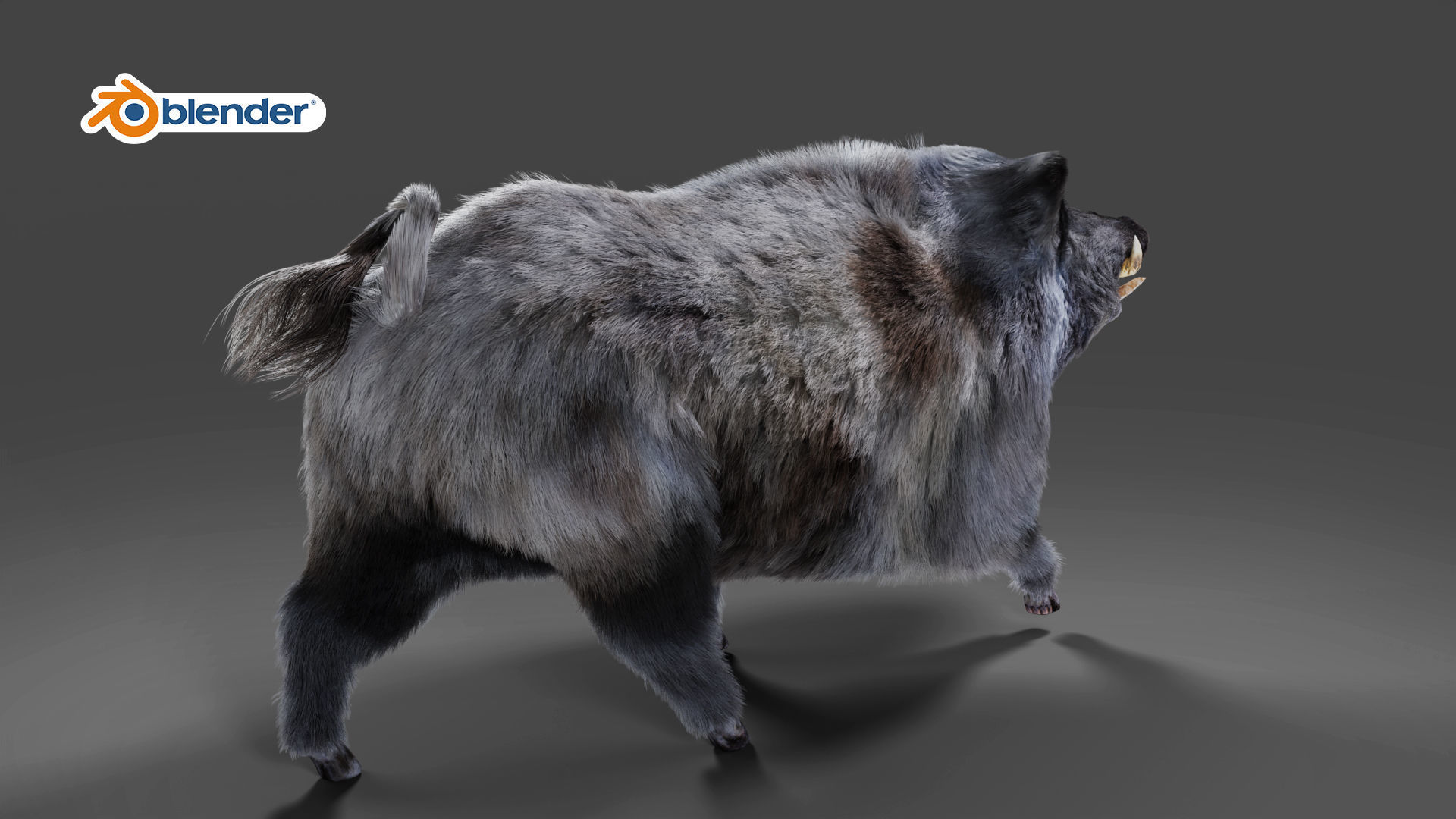 Fur Wild Boar V04 Rigged and Animation Low-poly 3D model_3