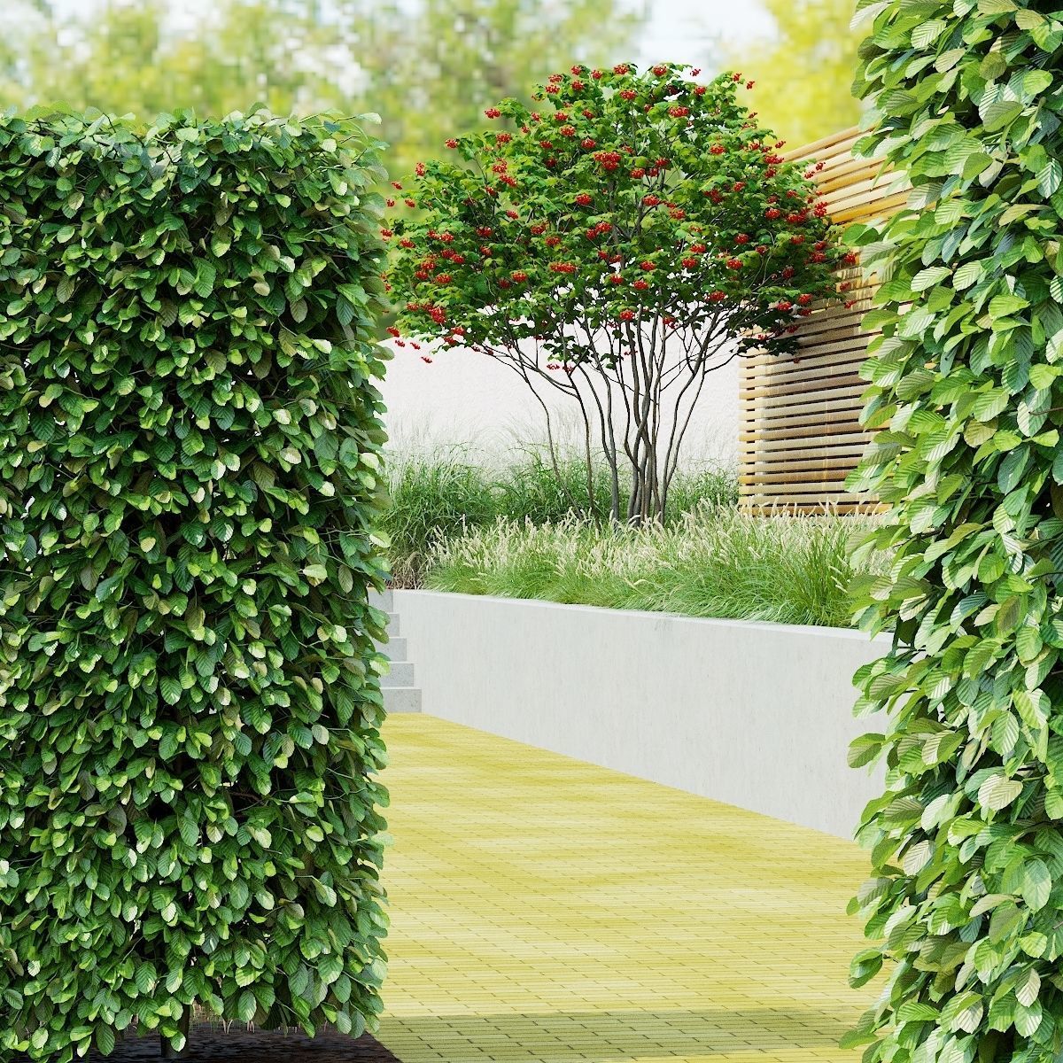 Fagus sylvatica hedge green 3D model_6