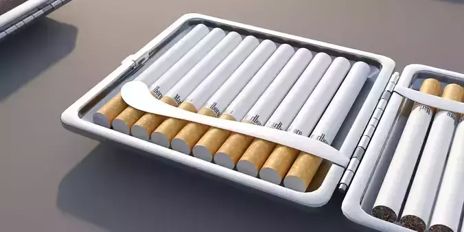 Cigarette Case Leather Closed and Open With 2 Color