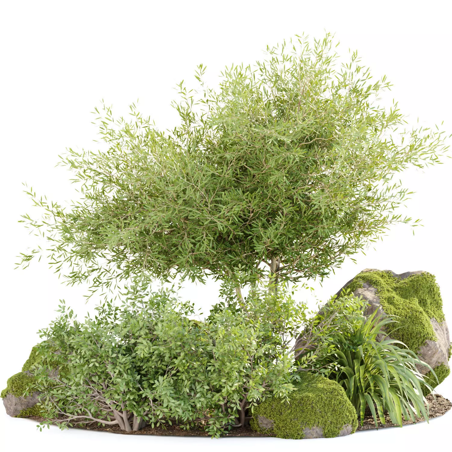 Garden plants set collection vol 161 3D model_0