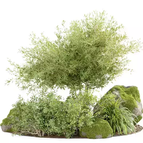 Garden plants set collection vol 161 3D model