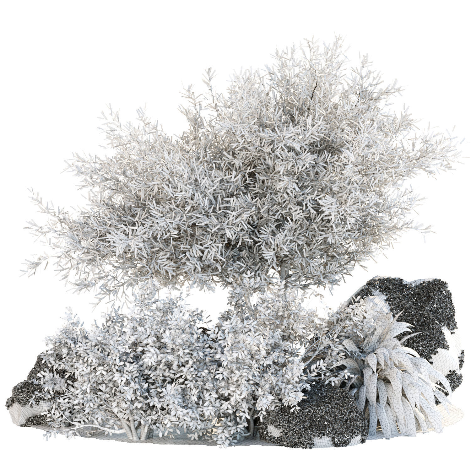 Garden plants set collection vol 161 3D model_5