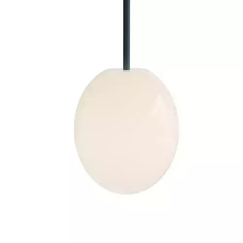 The Philosophical Egg Wall Bracket