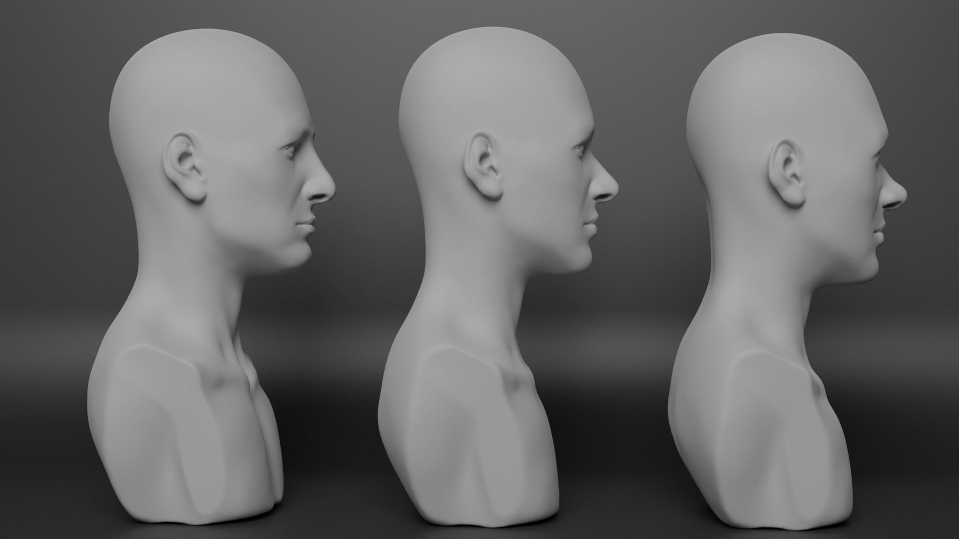 Female Bust 3D model_3