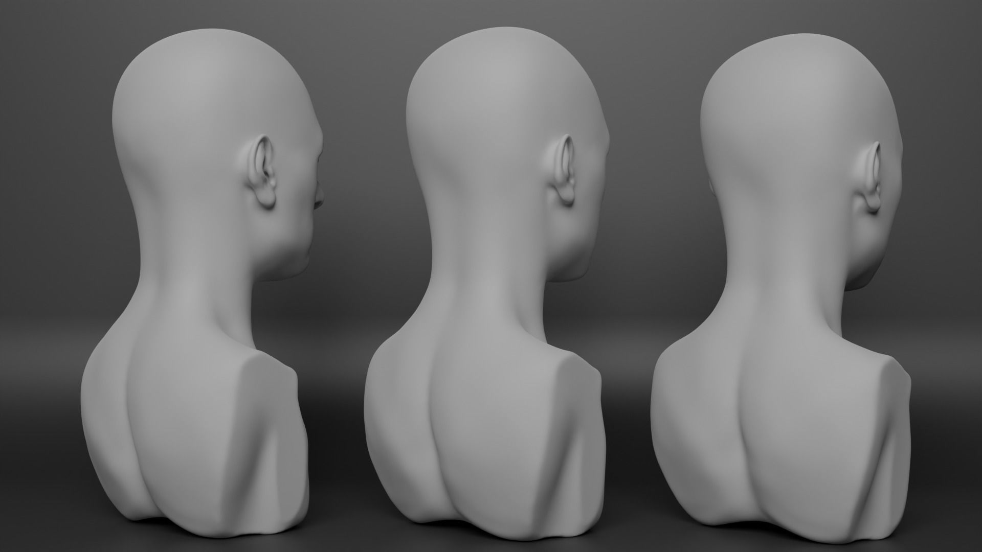 Female Bust 3D model_4
