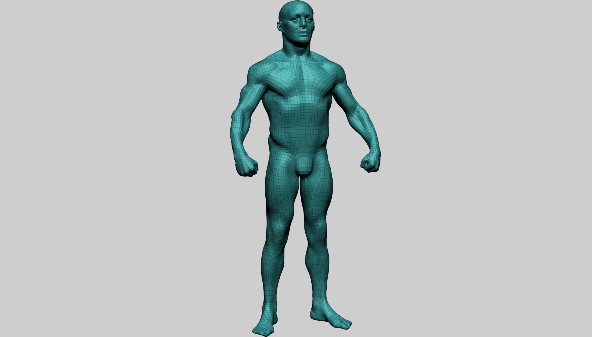 Male Anatomy 3D model_15