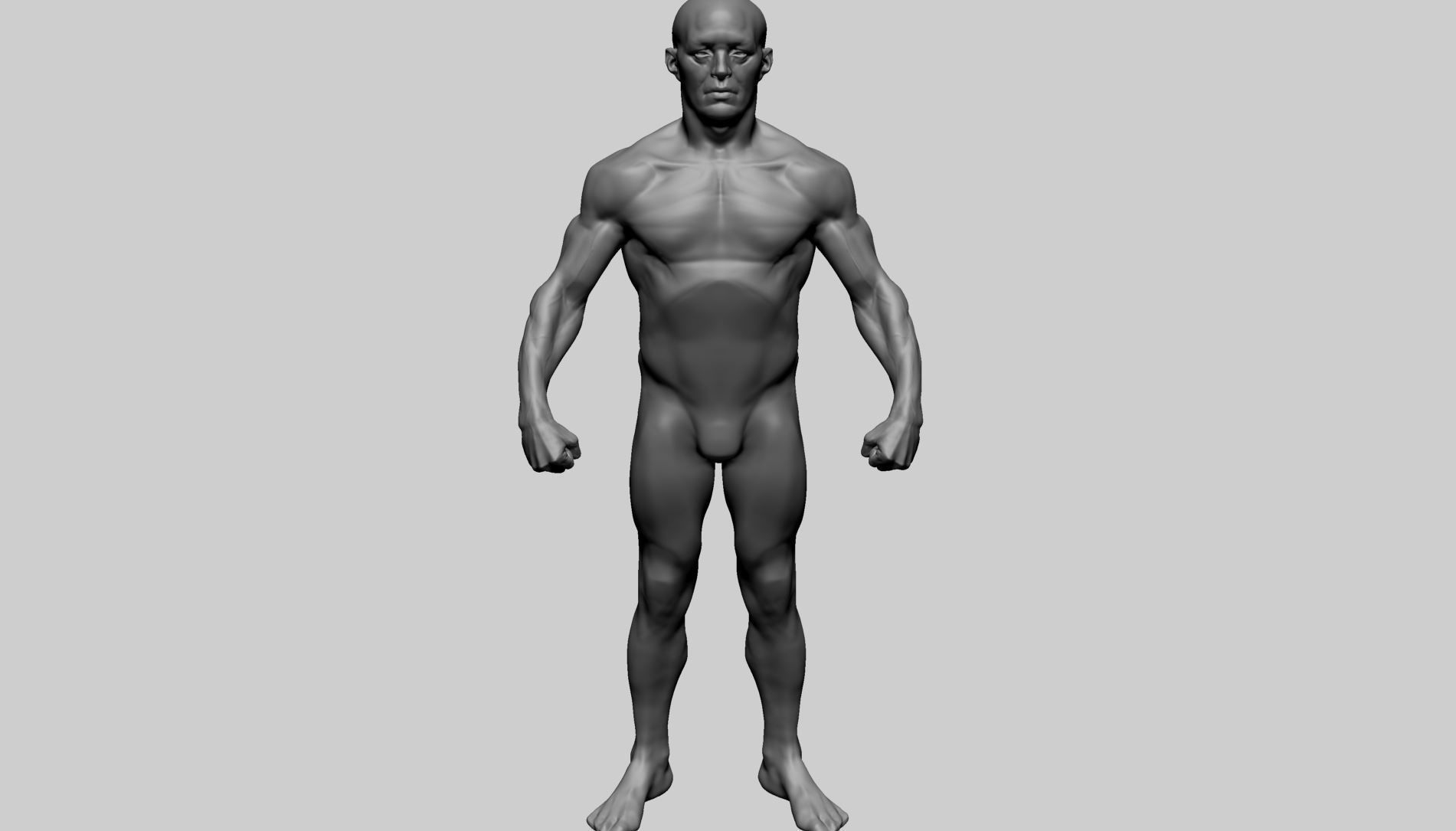 Male Anatomy 3D model_6