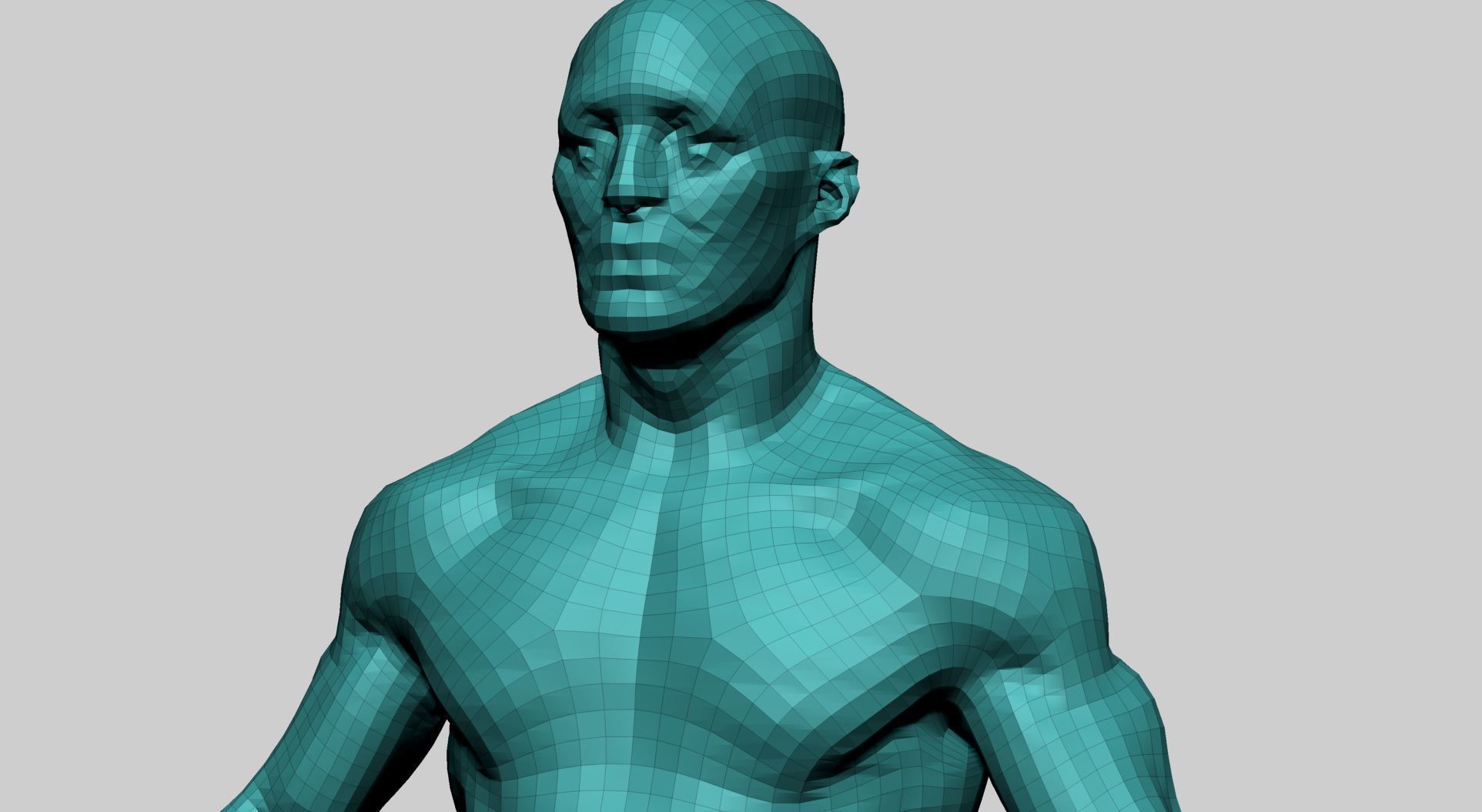 Male Anatomy 3D model_17