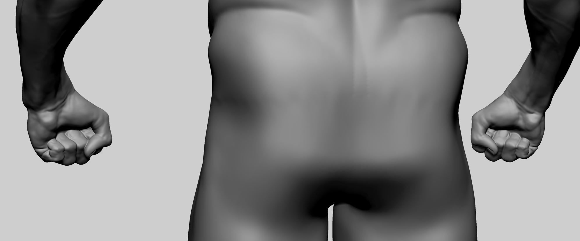 Male Anatomy 3D model_13