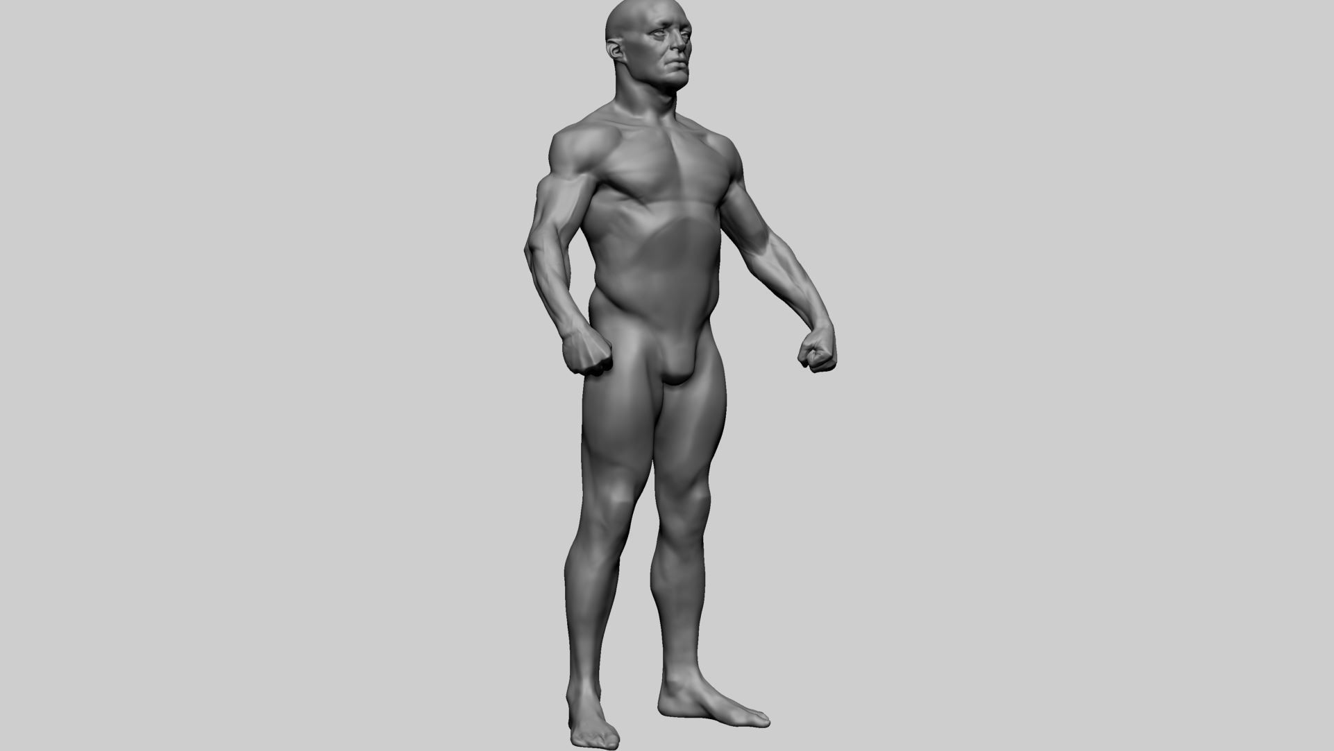 Male Anatomy 3D model_1